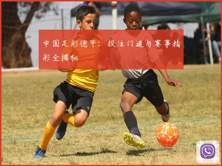 中国足彩德甲：投注门道与赛事精彩全揭秘