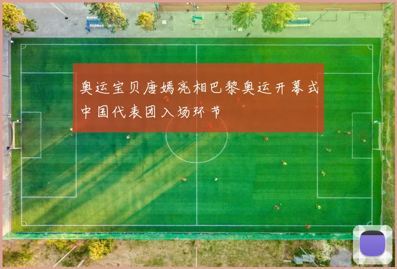 奥运宝贝唐嫣亮相巴黎奥运开幕式中国代表团入场环节