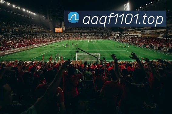 开云(中国)Kaiyun·官方网站 - 登录入口发展历程